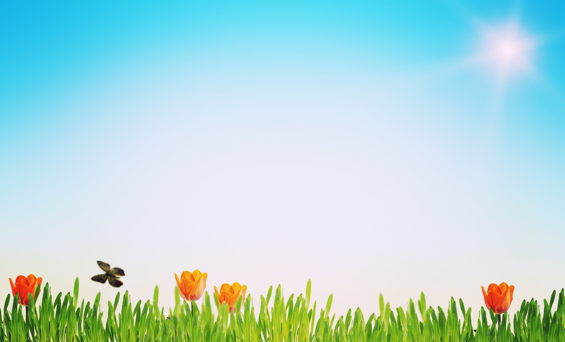 Spring background